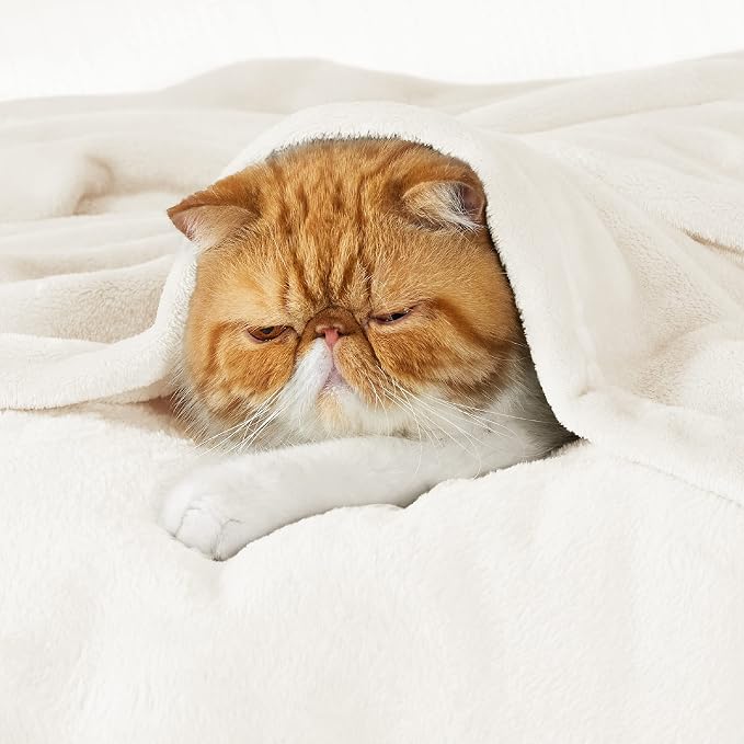Bedsure GentleSoft Cream Throw Blanket - Image 2