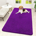 OLANLY Dog Door Mat for Muddy Paws 59x32, Super Absorbent Chenille Mud Mat | by OLANLY