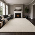Ophanie Area Rugs 9x12 Living Room, Large Ivory Bedroom Carpet, Big Shag Indoor by Ophanie