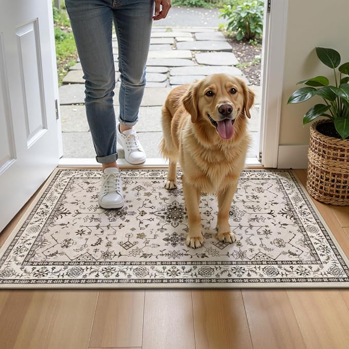 HEBE Indoor Door Mat 2'x3', Washable Welcome Mat - Image 8