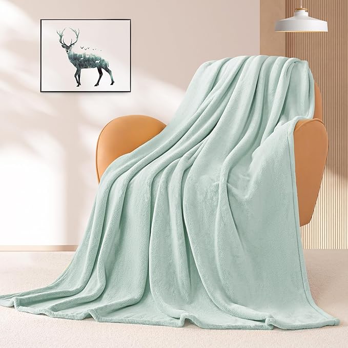 BEAUTEX Fleece Throw Blanket for Couch Sofa or Bed Throw Size, Soft Fuzzy Plush Blanket, Luxury Flannel Lap Blanket, Super Cozy and Comfy for All Seasons (50" x 60",Mint)