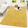 OLANLY Dog Door Mat for Muddy Paws 59x35, Super Absorbent Chenille Mud Mat | by OLANLY