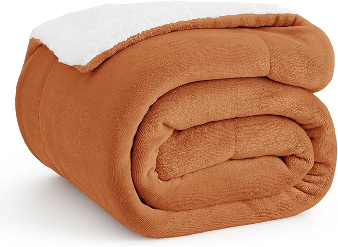 Bedsure GentleSoft Sherpa Fleece Throw Blanket Twin Size for Couch - Thick and Warm Throw for Women and Men, Soft Fuzzy Plush Twin Blanket for Winter, Burnt Orange, 60x80 Inches