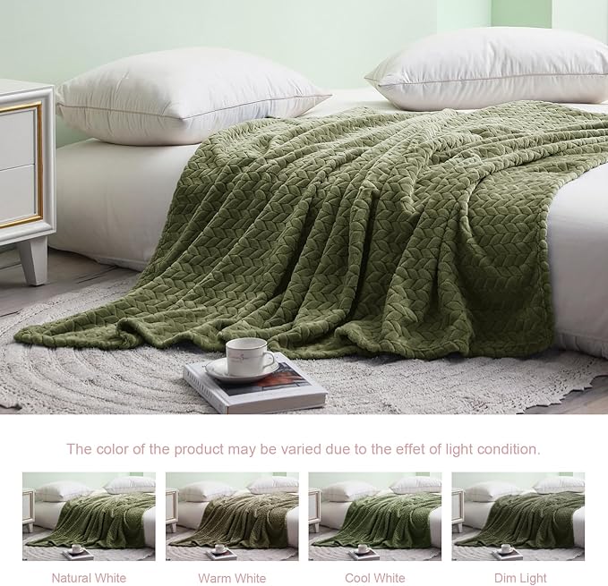 Exclusivo Mezcla Fleece Queen Size Blanket for Bed, 90x90 Inches Soft Cozy Jacquard Flannel Blankets, Lightweight Fuzzy Plush Warm for Winter, Olive Green