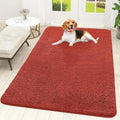 OLANLY Dog Door Mat for Muddy Paws 59x35, Super Absorbent Chenille Mud Mat | by OLANLY