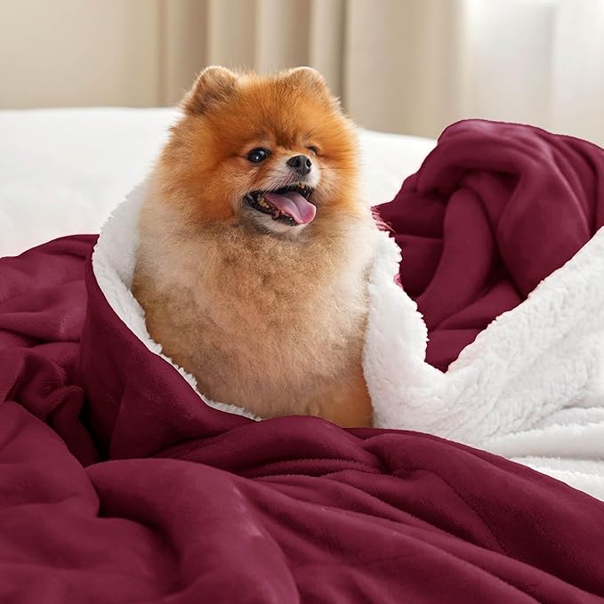 Bedsure GentleSoft Sherpa Fleece Blankets Queen Size for Bed - Thick and Warm Throw for Girls and Women, Soft Fuzzy Plush Queen Christmas Blanket for Winter, Burgundy, 90x90 Inches