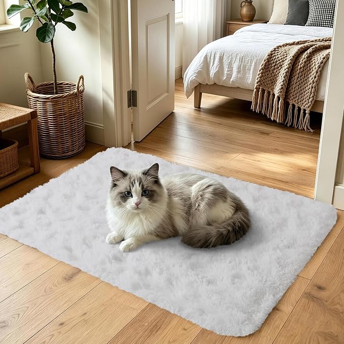 2x3 White Fluffy Soft Area Rug Non-Slip - Image 2