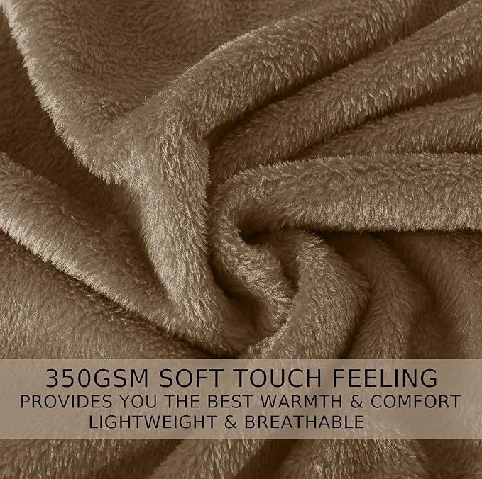Soft Queen Size Blanket for All Season Warm Fuzzy Microplush Lightweight Thermal Fleece Summer Autumn Fall Winter Spring Blankets for Queen Full Bed Couch Sofa,90x90 Inches,Taupe