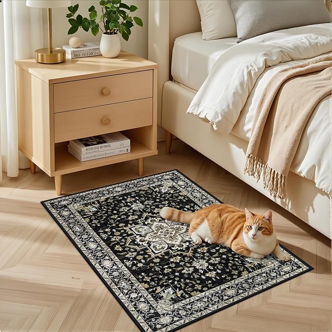 2x3 Area Rugs Living Room: Washable Rug - Image 3