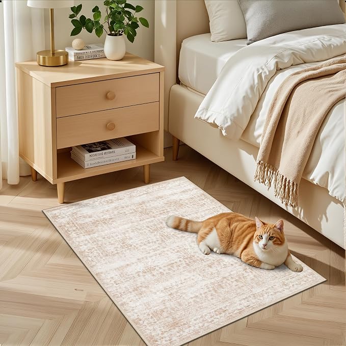 2x3 Area Rugs Living Room: Washable Rug - Image 3