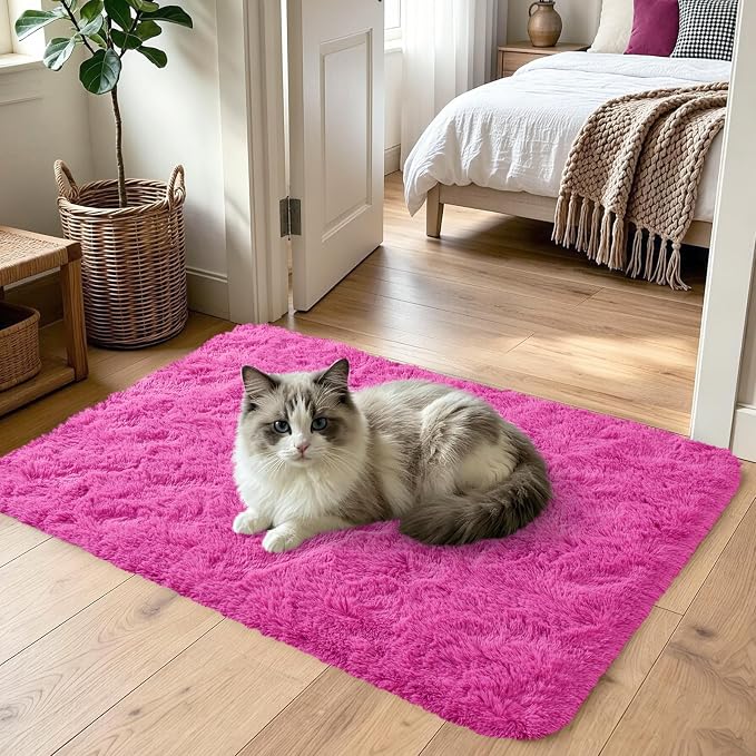 Noahas 2x3 Hot Pink Fluffy Soft Area Rug Non-Slip - Image 2