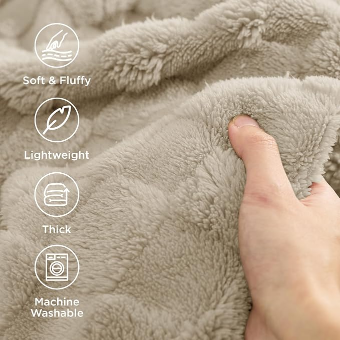 Bedsure GentleSoft Neutral Blankets Queen Size - Image 3