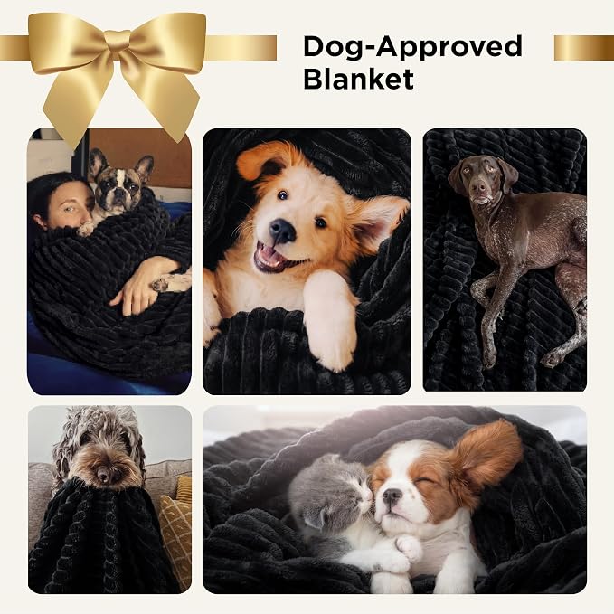 Bedsure Soft Twin Blanket for Bed Decor Gifts Black 60"x80" | Birthday Gifts - Image 3