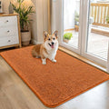 OLANLY Dog Door Mat for Muddy Paws 45x27, Super Absorbent Chenille Mud Mat | by OLANLY
