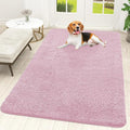 OLANLY Dog Door Mat for Muddy Paws 59x35, Super Absorbent Chenille Mud Mat | by OLANLY