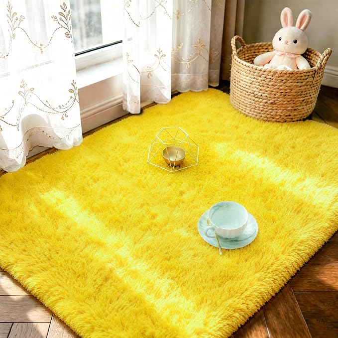 LOCHAS 2x3 Area Rugs Fluffy Living Room Carpets by LOCHAS
