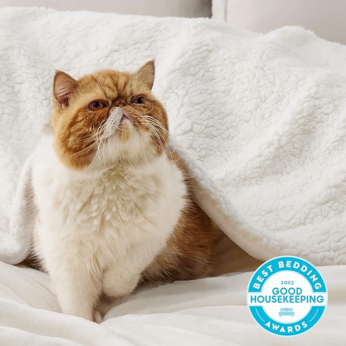Bedsure GentleSoft Sherpa Fleece Throw Blanket Twin Size for Couch - Thick and Warm, Soft Fuzzy Plush Twin Blanket for Winter, Cream, 60x80 Inches