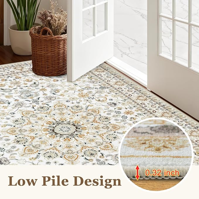 2x3 Area Rugs Living Room: Washable Vintage Rug - Image 9