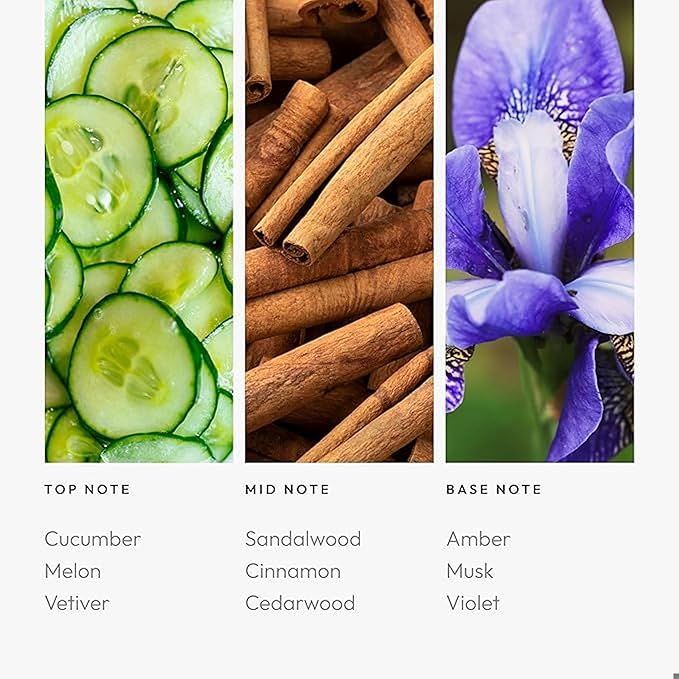 Summer Breeze 500mL