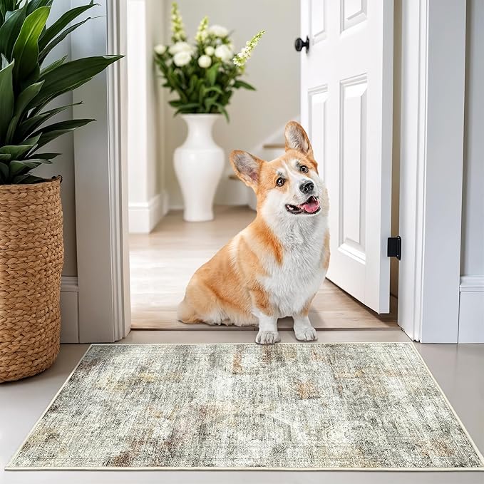 2x3 Rug Non Slip, Small Washable Entryway Rug, Runner by Restydon