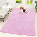 OLANLY Dog Door Mat for Muddy Paws 70x46, Super Absorbent Chenille Mud Mat | by OLANLY