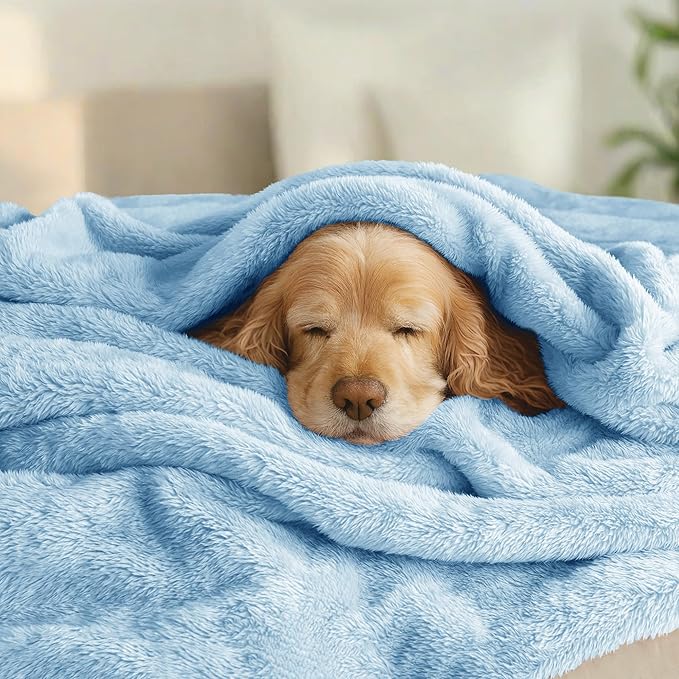 Exclusivo Mezcla Plush Fuzzy Fleece Bed Blanket King Size, Super Soft, Fluffy and Warm Blankets, Suitable for All Seasons (Light Blue, 90x104 Inches)