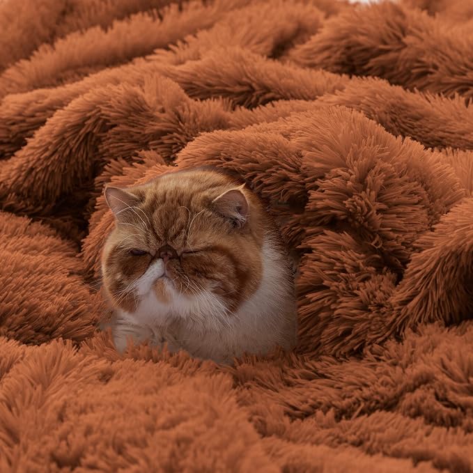 Bedsure GentleSoft Fluffy Burnt Orange King Size Blanket - Image 4
