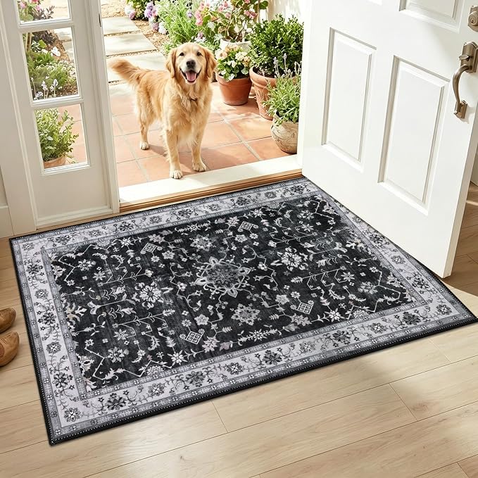 HEBE Indoor Door Mat 2'x3', Washable Welcome Mat by HEBE