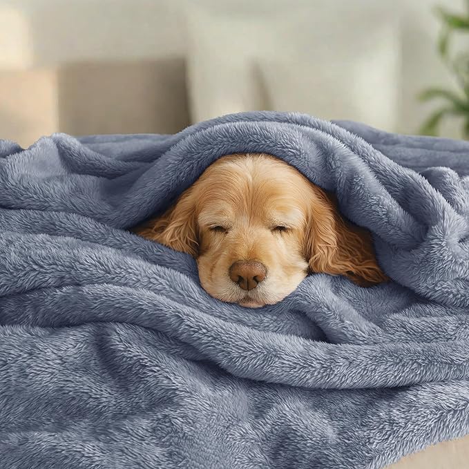 Exclusivo Mezcla Plush Fuzzy Fleece Bed Blanket Queen Size, Super Soft, Fluffy and Warm Blankets，Suitable for All Seasons (Stone Blue, 90x90 Inches)