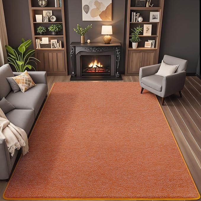 5x7 Area Rugs for Living Room Non Slip Dorm Bedroom Rug, Minimalist Washable - Image 9
