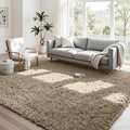 4x6 Fluffy Shag Area Rugs for Living Room Bedroom: Soft Carpet Gray Camel | by CarpetAddColortoYourLife
