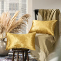GIGIZAZA Gold Velvet Pillow Covers 12x20 Decorative Pillows Pack of 2 | Lumbar by GIGIZAZAFocusingonhomedecoration