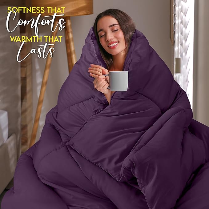 Utopia Bedding Comforter Duvet Insert, Quilted Comforter with Corner Tabs, Box Stitched Down Alternative Comforters Queen Size (Plum)