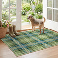Plaid Outdoor Rug by Othilic
