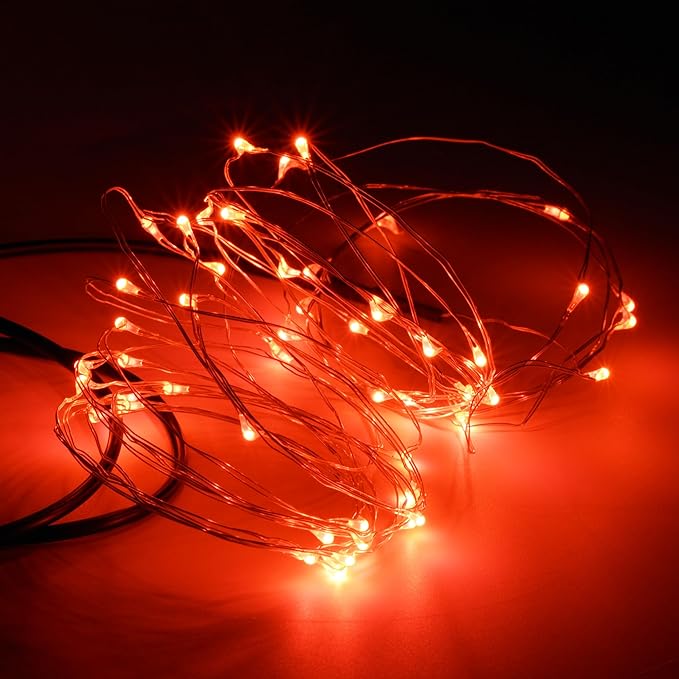 Karlling USB Plug in LED Fairy Lights,50 LED Bulbs 16 Ft Silver Wire Starry String Lights for Bedroom Patio Garden Party Wedding Commercial Lighting (Red)