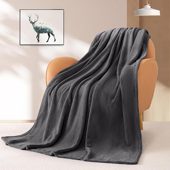 BEAUTEX Fleece Blanket Twin Size Grey Blanket Throw Super Soft Flannel Blanket Lightweight Fuzzy Plush Throw for Couch Sofa or Bed All Seasons (Graphite Grey, 60" x 80")
