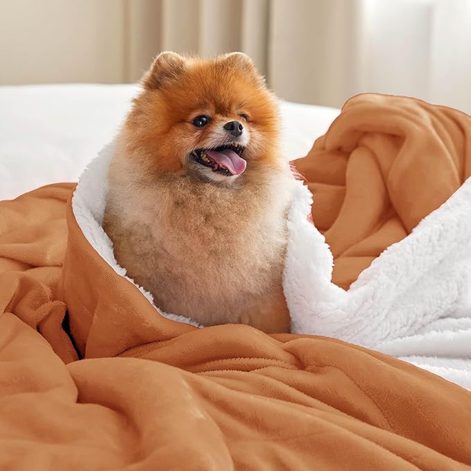 Bedsure GentleSoft Sherpa Fleece Throw Blanket Twin Size for Couch - Thick and Warm Throw for Women and Men, Soft Fuzzy Plush Twin Blanket for Winter, Burnt Orange, 60x80 Inches