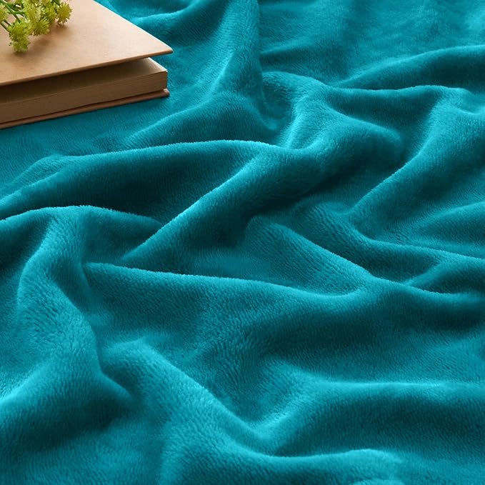 BEDELITE Throw Blanket for Couch and Bed - 300GSM Luxury Plush Cozy Fleece Blanket 50x60 Inches Bluebird, Soft Lightweight Blanket for Travel Camping
