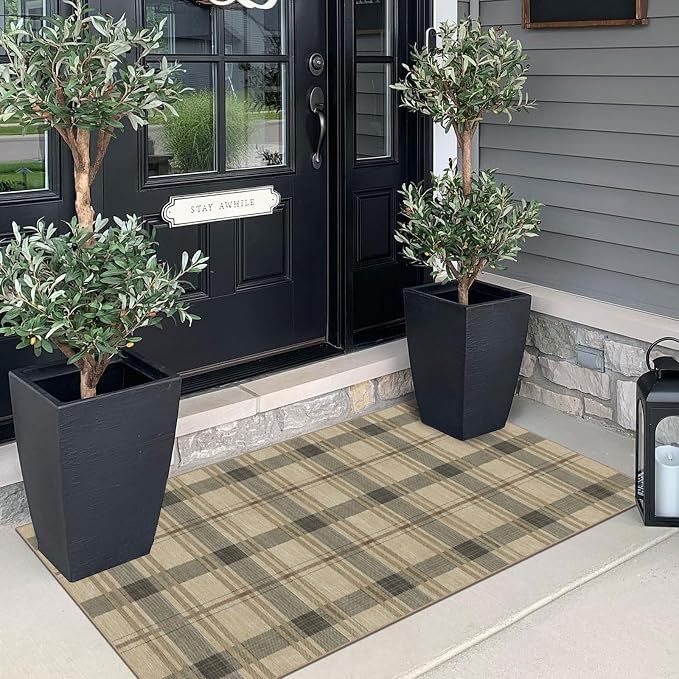 Front Door Mat Indoor Entrance - Image 4