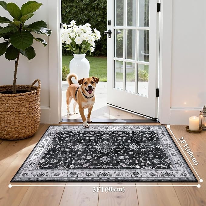 HEBE Indoor Door Mat 2'x3', Washable Welcome Mat - Image 2