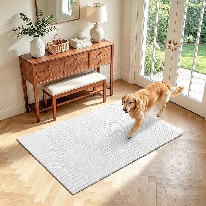 Pauwer 3x5 Area Rugs for Living Room, Modern Non Slip Washable Rug, Soft Fluffy by Pauwer