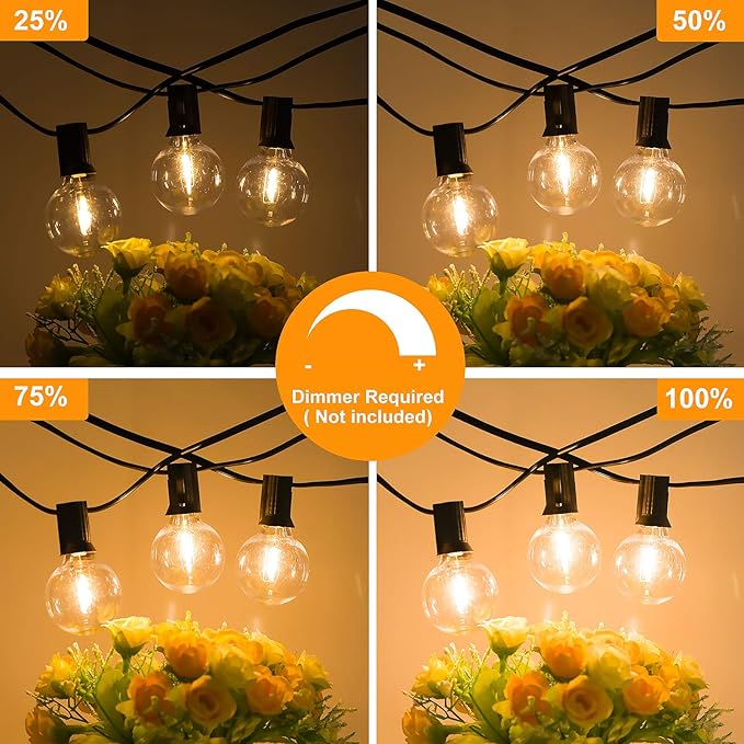 Bosceos 60FT Outdoor G40 LED Globe String Lights Dimmable Waterproof Shatterproof Light Strings with 30 Bulbs Connectable Commercial Hanging Lights for Christmas Patio House Backyard Balcony Party