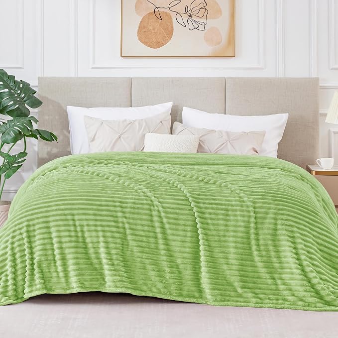 BEDELITE 3D Ribbed Jacquard Green Blankets Queen Size - Image 2