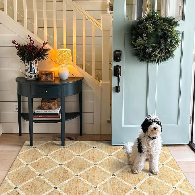 Cottage Trellis 3x5 Entryway Rug Indoor Outdoor Mats - Image 4