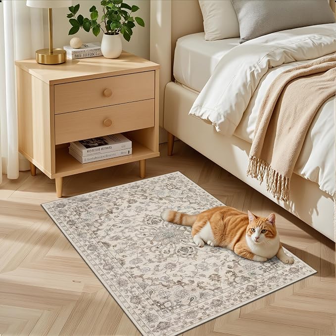 2x3 Area Rugs Living Room: Washable Rug - Image 3