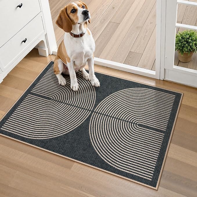 Lahome Rainbow Indoor Door Mat - Image 6