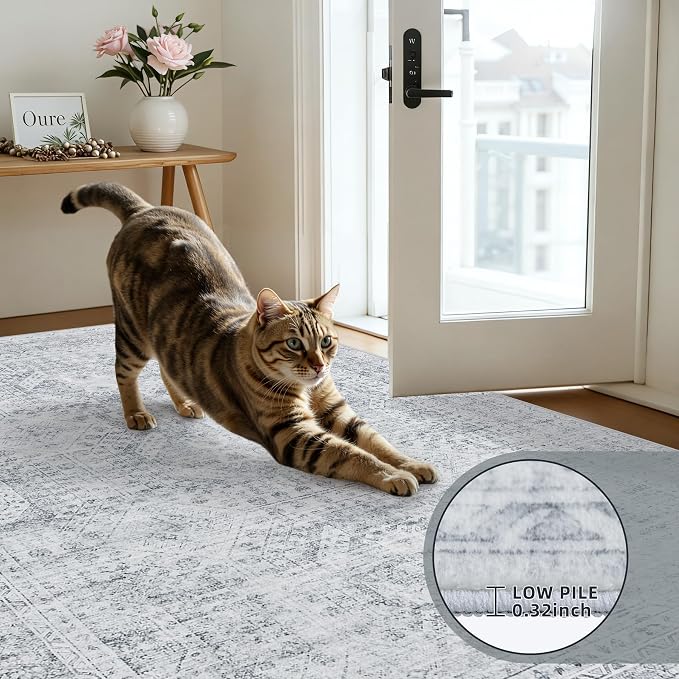 6x9 Area Rugs Living Room: Bedroom Neutral Washable Carpet Gray | Vintage Boho - Image 7