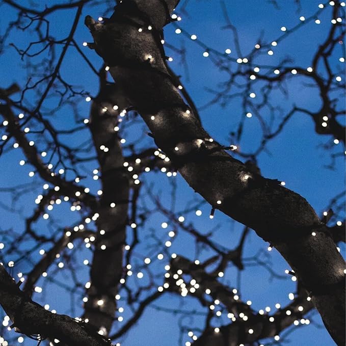 RPGT Christmas Light 100 LEDs 41ft Green Cable Wire Fairy String Twinkle Lights Plug in 12 Modes for Xmas Tree, Party, Outdoor, Garden, Wedding, Home Decoration (White)