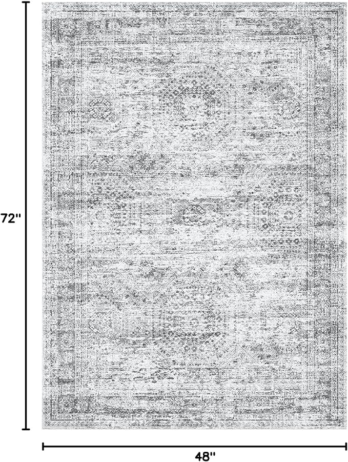 Soalmost 4x6 Area Rug for Living Room, Washable Rugs Non-Slip, Thin Foldable - Image 2