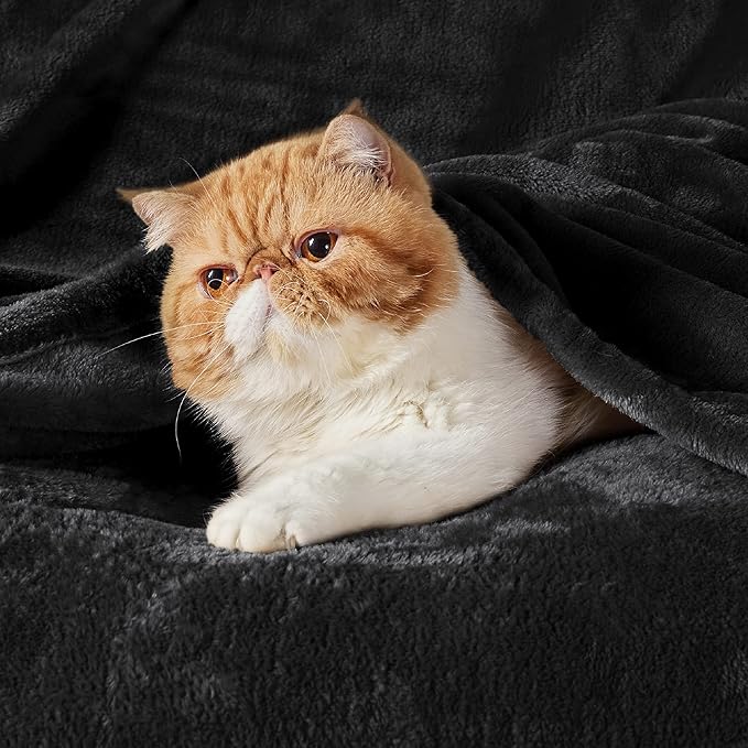 Bedsure GentleSoft Fleece Blanket California King Size Black - Lightweight Plush Fuzzy Cozy Soft Bed Blankets, 102x96 inches